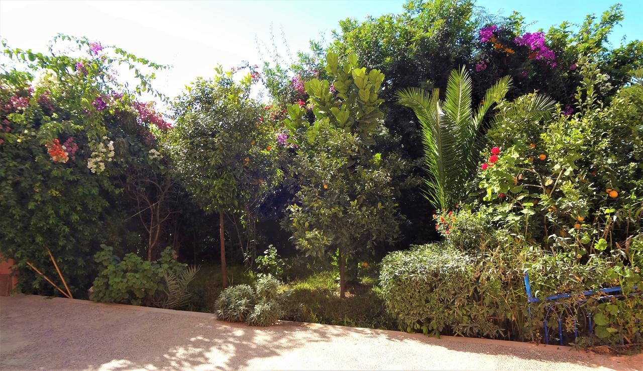 Surf & Yoga Paradise Morocco Albergue Tamraght Ou Fella Exterior foto