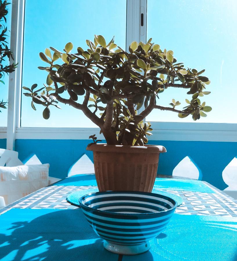 Surf & Yoga Paradise Morocco Albergue Tamraght Ou Fella Exterior foto