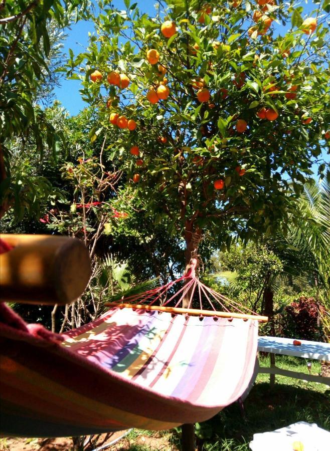 Surf & Yoga Paradise Morocco Albergue Tamraght Ou Fella Exterior foto